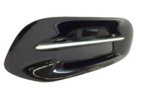 Mopar 68163981AA Lamp Cover, Front Driver Side