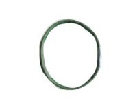 Mopar 68359029AA Throttle Body Gasket
