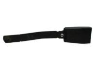 Mopar 1JB451DVAA Buckle End, Gray, Front Driver Side