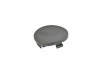 Mopar 5XG41LXHAA Upper Quarter Trim Plug, Black