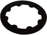 Mopar 68004090AA Guide, Front