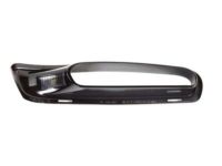 Mopar 1WC63DX8AA Bezel