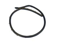 Mopar 68110772AC Weatherstrip, Rear