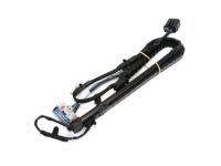 Mopar 68211874AA Wiring Sliding Door Track Right