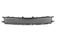 Mopar 68320617AA Lower Grille, Front