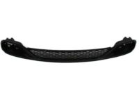 Mopar 68100690AA Lower Grille, Front