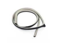 Mopar 1DA08BD1AG Weatherstrip Front Door Opening