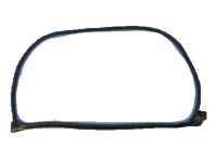 Mopar 68045968AA Door Weatherstrip, Front Outer Passenger Side