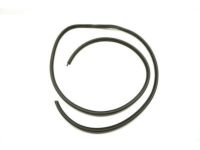 Mopar 55023781 Weatherstrip