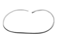 Mopar UW64DW1AC Weatherstrip Rear Door