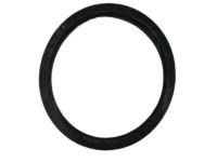 Mopar 68027861AA O Ring