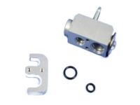 Mopar 68079483AA Expansion Valve, Front