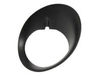Mopar 55077238AD Fog Lamp Bezel, Front Passenger Side