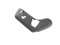 Mopar 1XN97DX9AA Outer Cover, Black, Front Driver Side