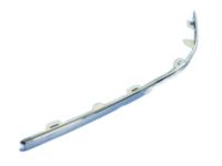 Mopar 5030045AA Strip, Front Driver Side