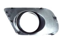 Mopar 68088686AB Bezel, Front Passenger Side