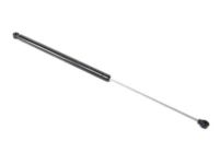 Mopar 4763387AB Lift Cylinder