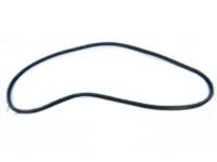 Mopar 68465082AA Body Weatherstrip, Front Driver Side