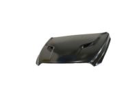 Mopar 68160235AE Hood