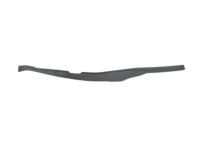 Mopar 68188807AA Seal Rear Door