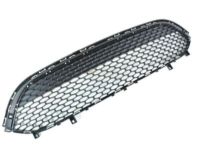 Mopar 68243498AA Lower Grille, Front