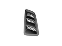 Mopar 68293748AD Bezel Hood Air Inlet