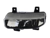 Mopar 68273291AB Fog Lamp Assembly, Front Driver Side