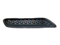 Mopar 68071012AA Bezel Hood