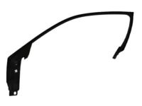 Mopar 1RE62DX9AD Frame Trim, Front
