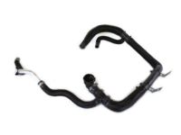 Mopar 68092561AF Upper Hose, Lower