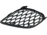 Mopar 68280492AA Lamp Cover, Front Passenger Side