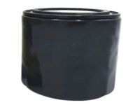 Mopar 2AML00899A Filter Engine Oil See Note