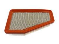 Mopar 68245310AA Air Filter