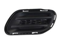 Mopar 68203222AA Lamp Cover, Front Passenger Side