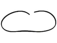 Mopar 55346790AG Weatherstrip Front Door Secondary