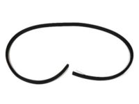 Mopar 5074641AC Weatherstrip Liftgate Opening