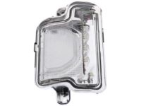 Mopar 68361956AA Signal Lamp, Front Passenger Side