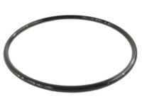 Mopar 68101172AA Pump O-Ring