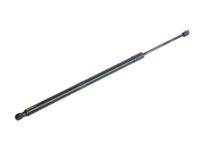 Mopar 68193789AD Lift Cylinder, Driver Side