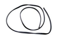 Mopar 68226111AA Weatherstrip Sliding Door