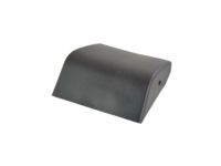Mopar 1CZ98RXFAA Cladding Front Sill