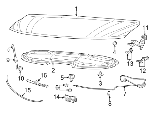 2022 Chrysler Voyager Hood & Components Diagram