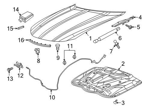 2023 Dodge Charger Hood & Components Diagram 3 - Thumbnail