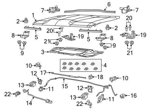 2021 Jeep Renegade Hood & Components, Body Diagram