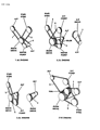 Chrysler Laser Drive Belt Diagram - B0013481