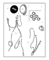 Jeep Wrangler Fog Light Diagram - 82208017