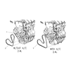 Chrysler PT Cruiser Drive Belt Diagram - 4668444AC