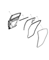 Chrysler Door Seal Diagram - 5074520AB