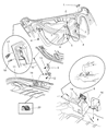 2001 Chrysler Prowler Weather Strip Diagram - 4786209AB