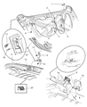Chrysler Prowler Trunk Lid Latch Diagram - 4865101AA
